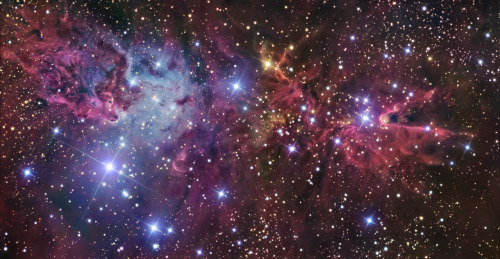 just&ndash;space: A Spectacular Picture of the Fox Fur Nebula, the Cone Nebula, and the Christma
