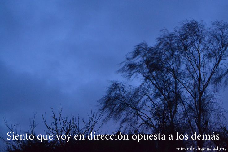 Ni sí ni no, si no todo lo contrario