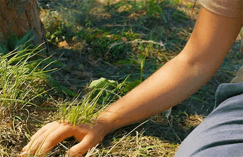 MIDSOMMAR (2019) Dir. Ari Aster