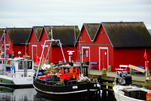 Ostsee Boltenhagen (by Marco Federmann)