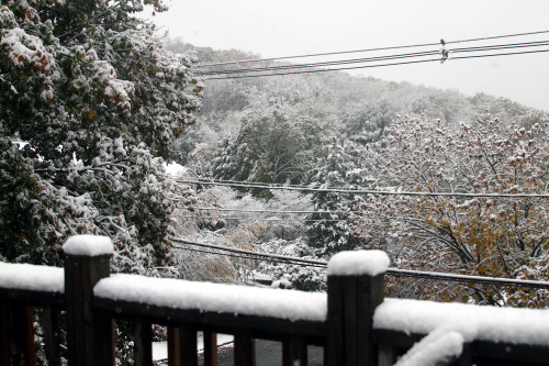 First snowfall of the season here in eastern Connecticut &ndash; October 30, 2020.