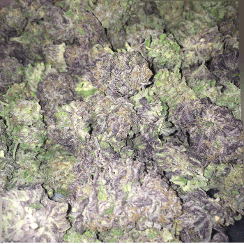 weeditaly:  3D bud