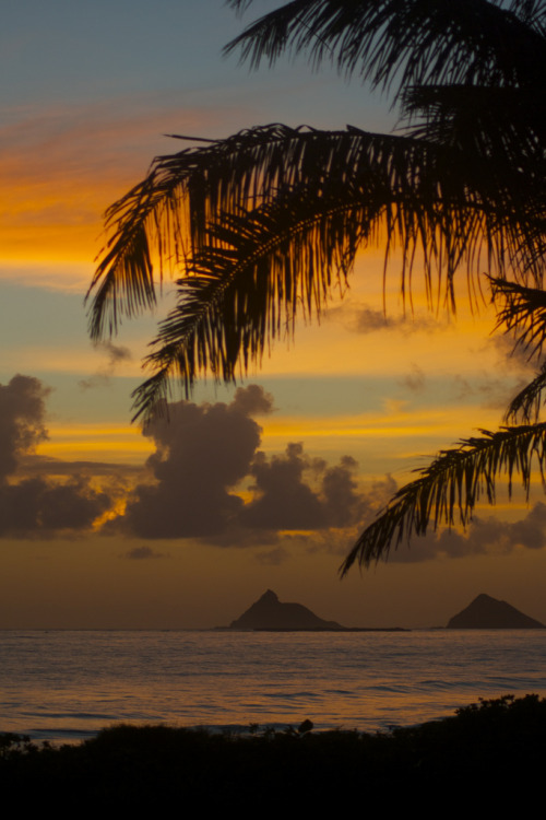 etherealvistas:  Fill your eyes with Warmth (USA) by rocky’s pics  