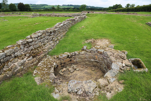 thesilicontribesman:Corbridge Roman Town, near Hadrian’s Wall, NorthumbriaThe Roman settlement of Co