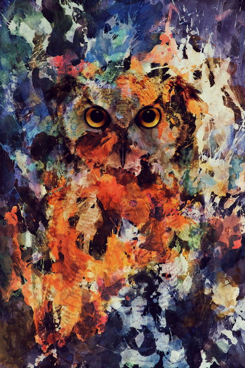 Animal Portraits By Andreas Lie