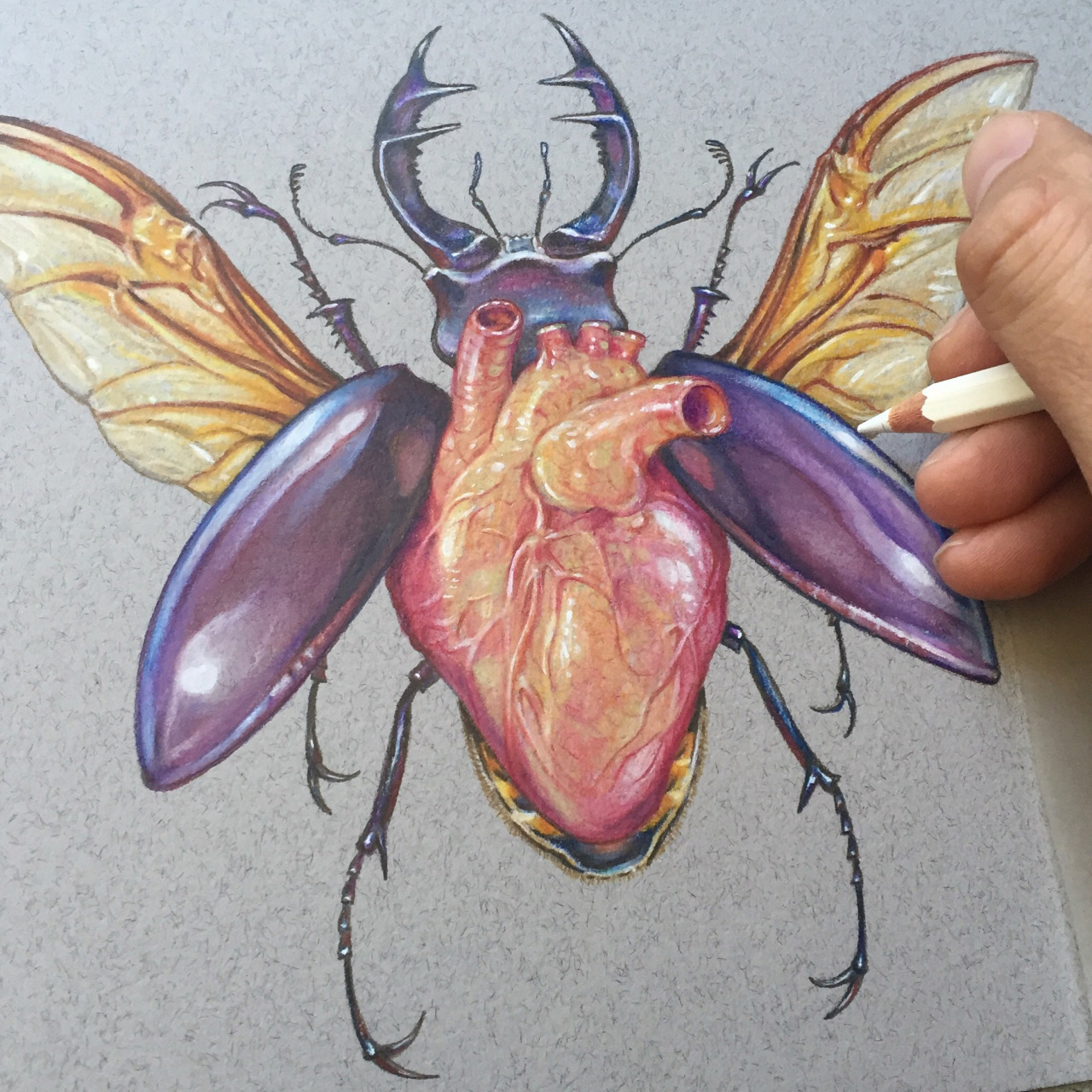 sosuperawesome: Marald Art on Tumblr More like this   