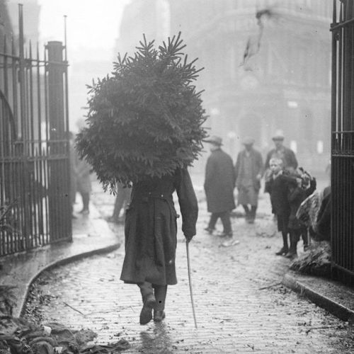24hoursinthelifeofawoman:Taking the Christmas tree home, Chelsea, London, 1915.