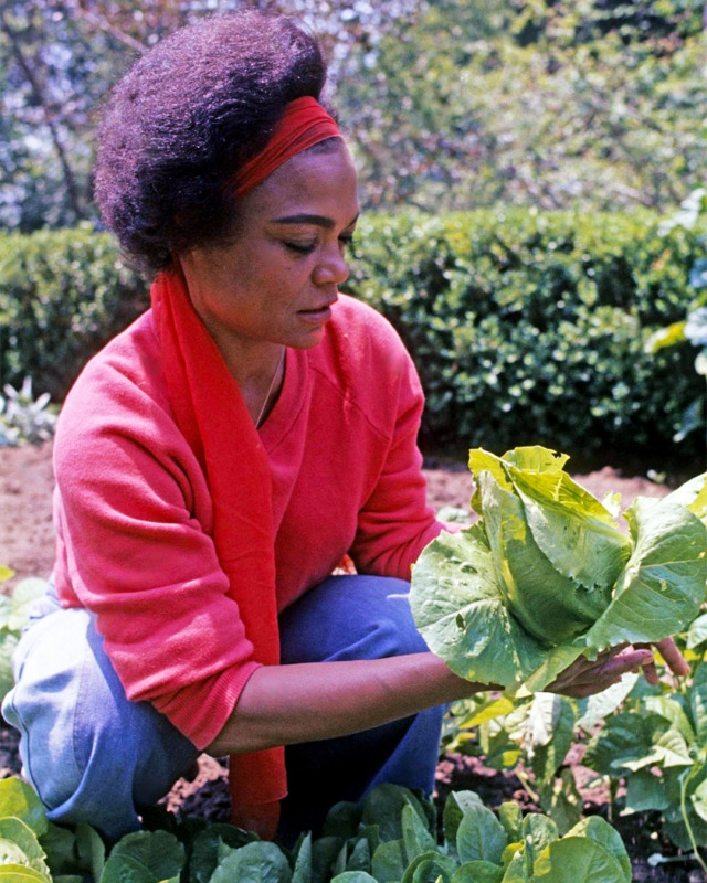 Eartha Kitt at home in Los Angeles, California, 1976.