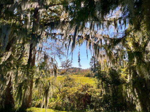 I Love This Home Of Mine.