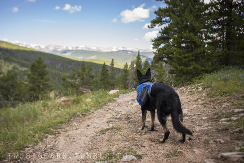 twobigears:  Onward to 2018. Here’s to more time on the trails, days in the mountains, and nights under the stars.