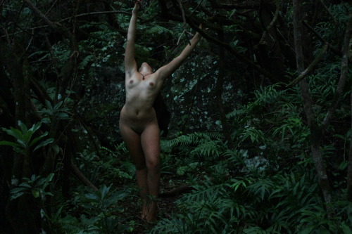wisetigress:  Breath - Shell By Matthieu (Reblogging ok only with the caption intact)