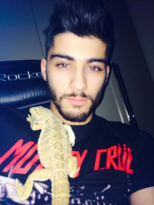 stylesin:  @zaynmalik: Chillin with arnie!! :)