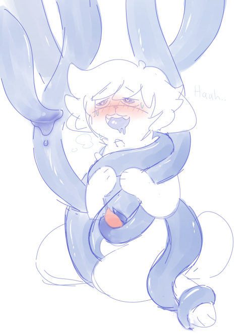gaybeecat:t e n t a c l e s ❤️Mmnf~