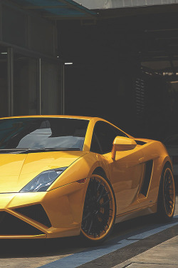 cityrulers:  Gallardo © 