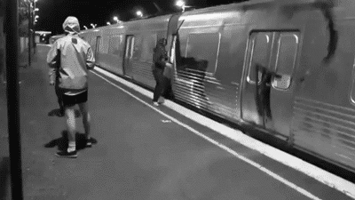 https://backcar.tumblr.com/post/185060940067