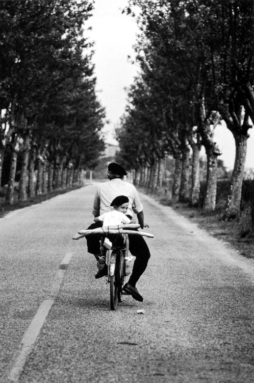 m3zzaluna:m3zzaluna:in over five decades of photography elliott erwitt has never lost his characteri