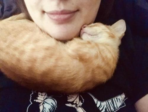 awwww-cute:  Adopted this adorable scarf. (Source: https://ift.tt/2M9IyWM)
