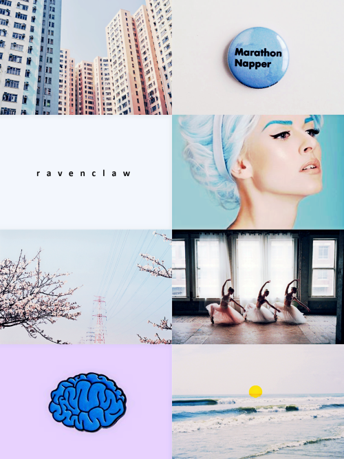 lunavlovegood: hp aesthetic: Ravenclaw House “ask no questions and we’ll tell you no l i