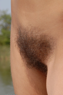 tuftednethers:  See more beautiful tufts at Tufted Nethers bushlover77:  Hmmm  