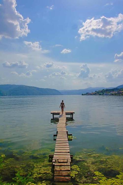 kristo-flowers:River Donau