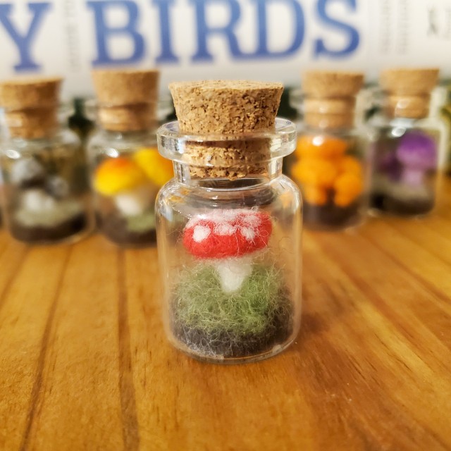 a photo of a jar containing a red and white needle felted mushroom.