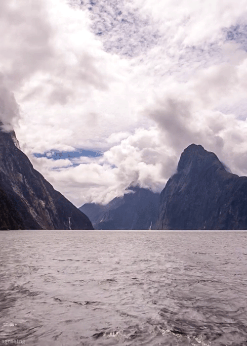 hipsterinthewilderness:  nature &amp; hipster 