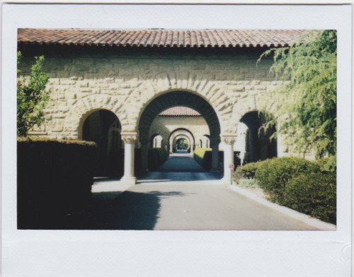 Cantor Arts and Stanford Campus, shot on MiNT InstantKon RF70. I never get tired of walking on campu