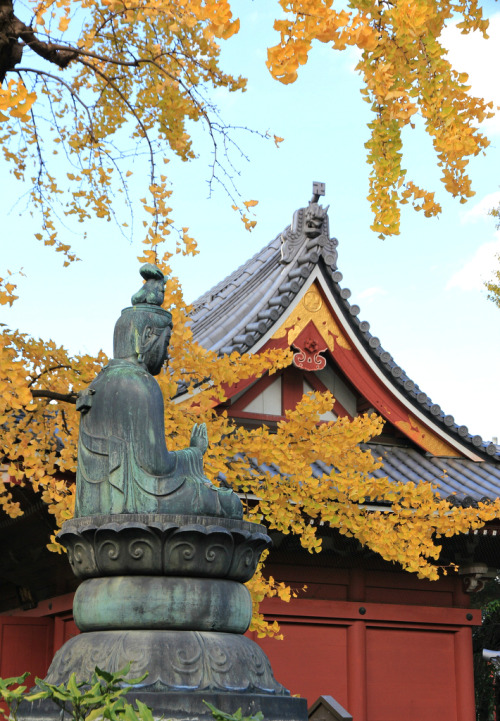 todayintokyo: Sensō-ji (浅草寺), Asakusa