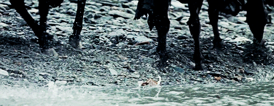 frodo-sam:  I know what I must do, it’s just that… I’m afraid to do it.  