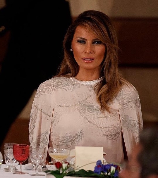 Tumblr Melania Trump