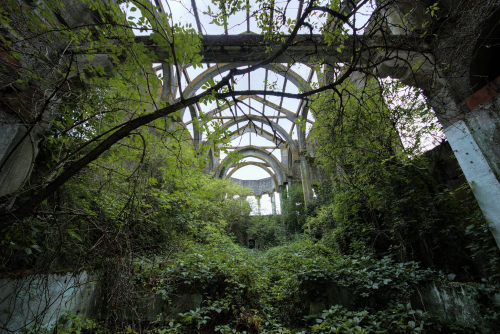 beautyofabandonedplaces:The overgrown ruins of a church [2048×1368] By Lauric Gourbal Photographies