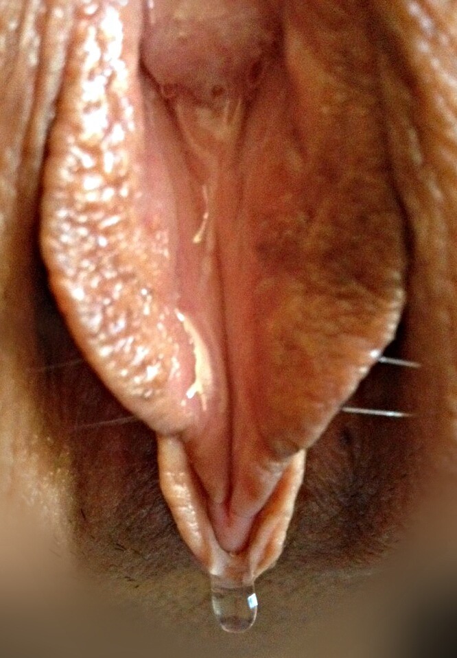 meatgod:  blackprick:  She thinks about what we have planned after dinner and the