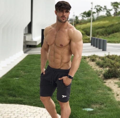 Adonis Files