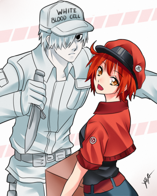 Atre Jane - Hataraku Saibou Fanart