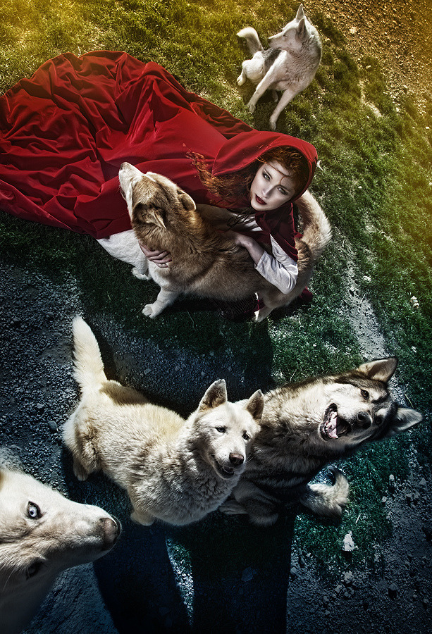 phoenix-warrior:  off-with-the-faeries:  ~Realm of the Fae~  *~A World of Pure Imagination~*