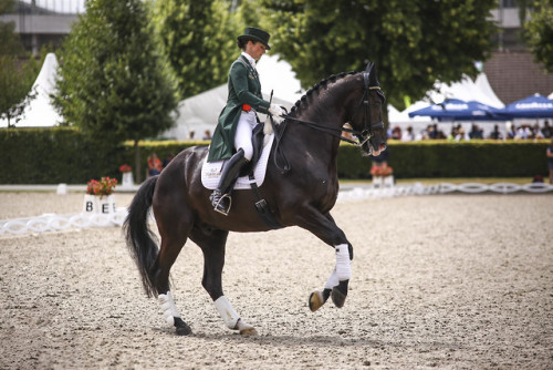 real-geldings-have-curves: CHIO Aachen part 3