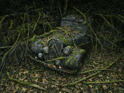 asylum-art:  Paradise parking by Peter LippmanAmerican