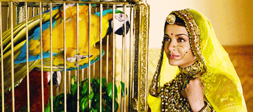tanipartner:Jodhaa Akbar + Cinematography 