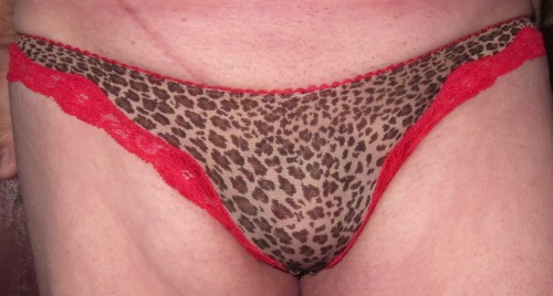 Sex Animal print with red lace trim. pictures