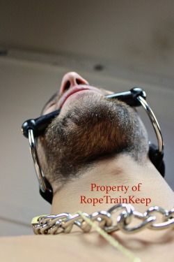 ropetrainkeep:  I am doing you all a favor, this guy’s face is so hot/beautiful, it might burn your eyes out!  So just the chin for now, okay?… you’re welcome.  :)  I love him, and I love me for finding him!! 