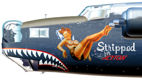donotdestroy:  Consolidated B-24 Liberator Aircraft illustration 