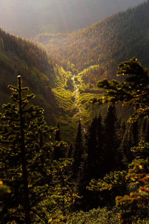 wanderingredleaves:Casey Grimley