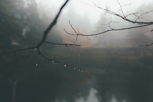 Foggy Mt.Rokko. Fall 2015霧の六甲山instagram | 500px | twitter