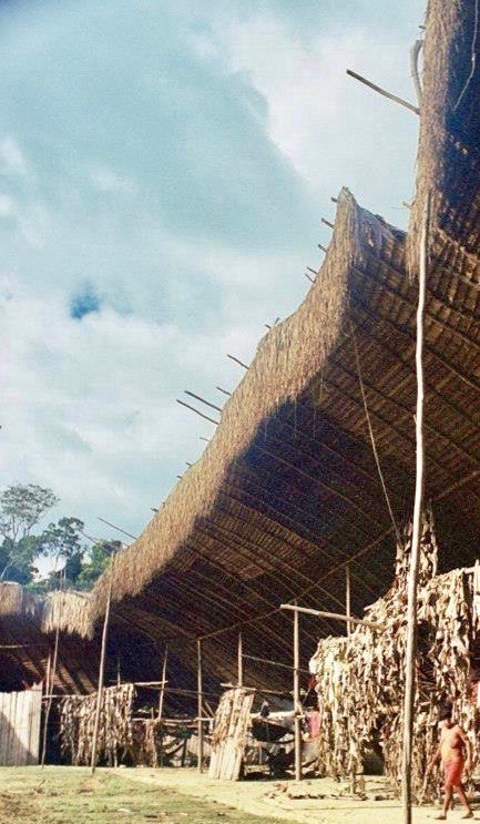 designio: Shabono, Yanomami communal dwelling / Venezuela, Brasil