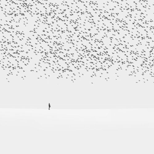 eternal-wonder:  staceythinx:  Stunning skies by Hossein Zare  eternal-wonder: staggering. 