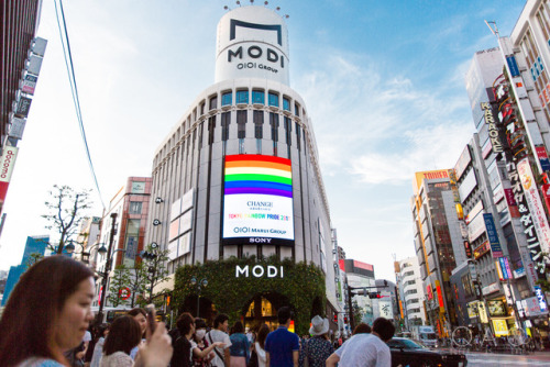 queerascat:Tokyo Rainbow Pride 2017: TOKYOrandom glimpses of rainbows around Shibuya & Shinjuku.