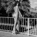 #1663 - Andja#1663 – AndjaRenaud ChavalView On WordPress