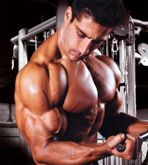 XXX   GP Stan 50 is an injectable steroid made photo