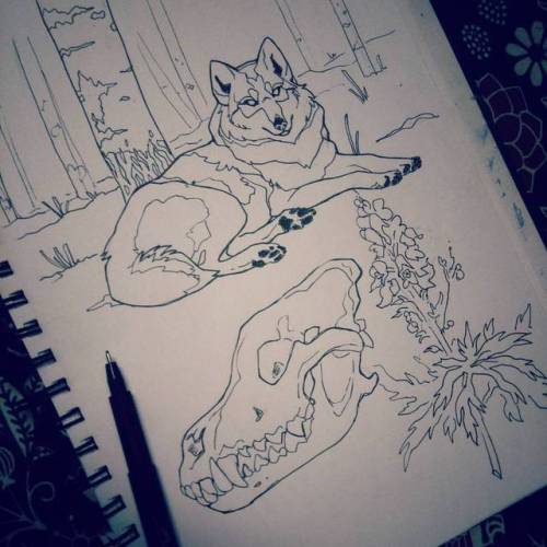 canis-infernalis:doodle/quick study