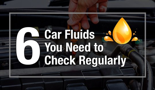 Six Car Fluids